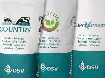 Sacos Dsv